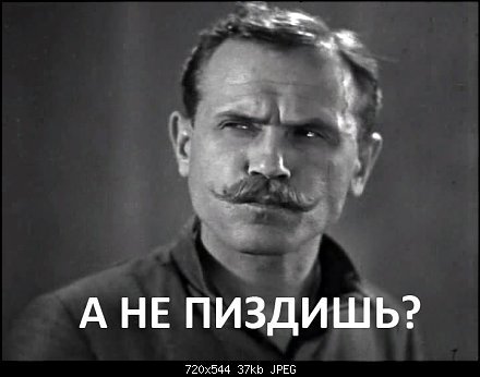 chapaev_pizdish-2.jpg