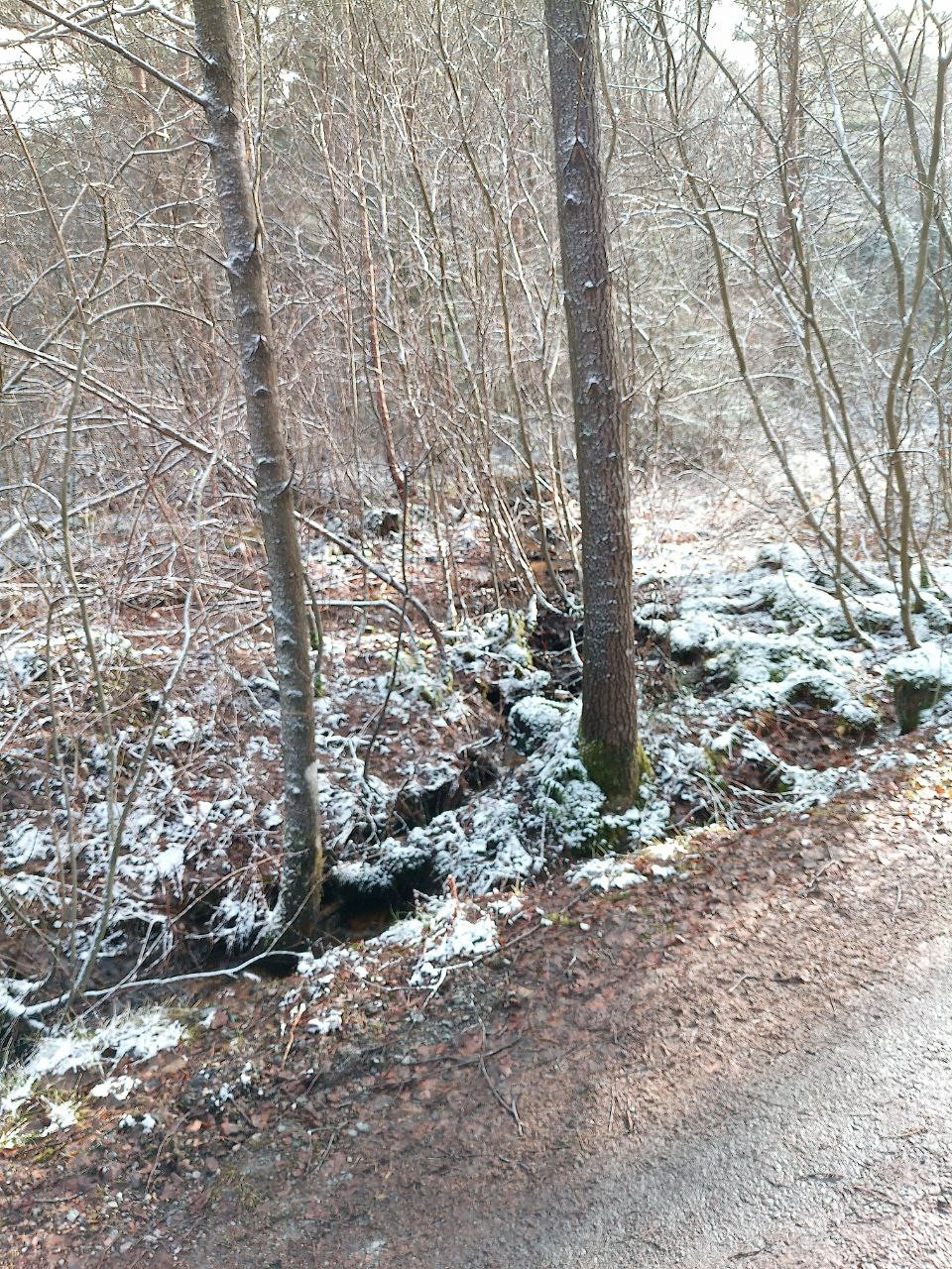 2023-04-01-3.jpg