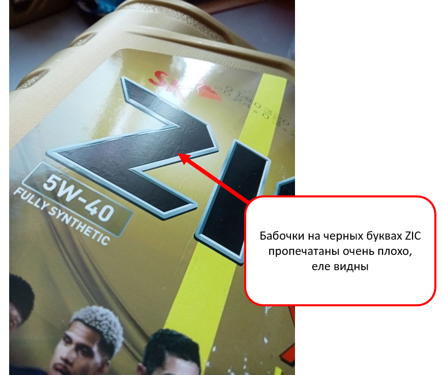 ZIC_Babochki.png