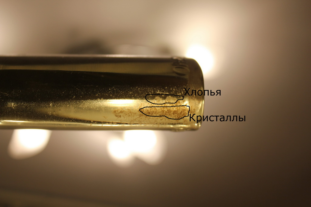 IMG_0719_ред..jpg