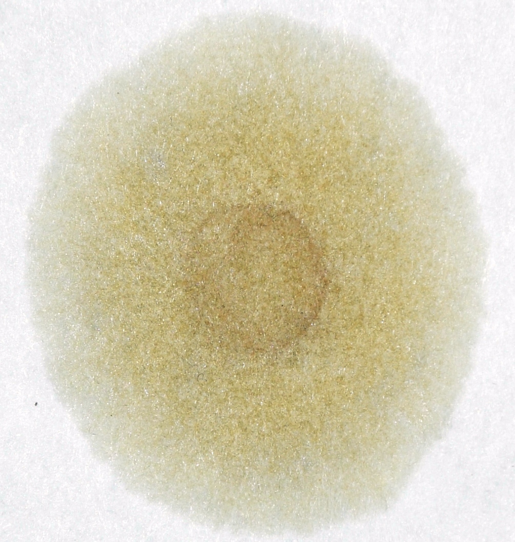 капля6600км-2.jpg